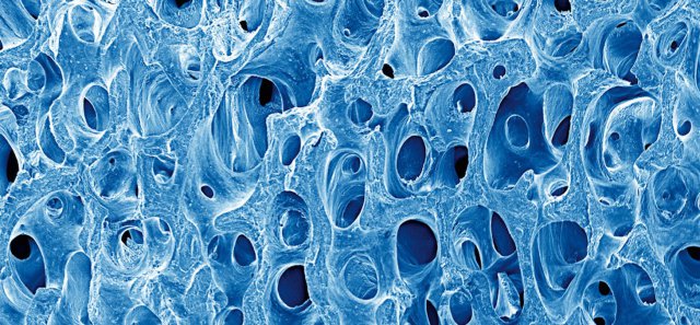 img biomaterials_1200x430