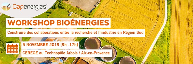 Workshop Bioénergies