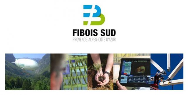 Fibois Sud_Rencontres Regionales Forêt-Bois_01.12.2021_Image