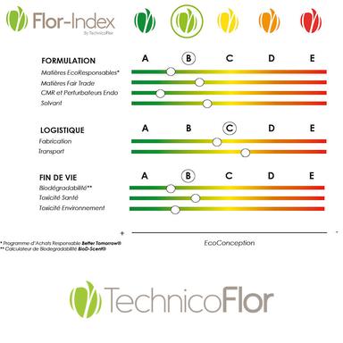 Technicoflor_image